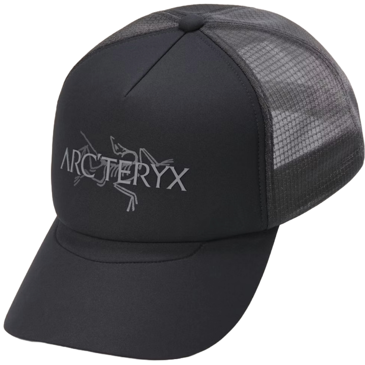 Arc'teryx Bird Word Toque
